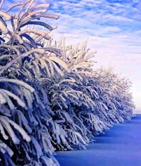 【天涯】今夜有雪，請(qǐng)多保重（詩歌）
