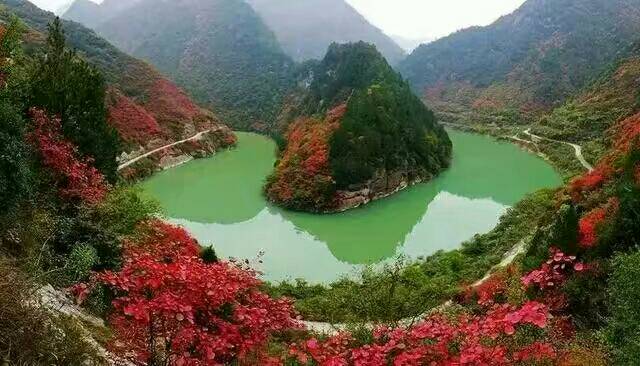 【丁香青春】秋紅靈官峽、春碧嘉陵江（散文）