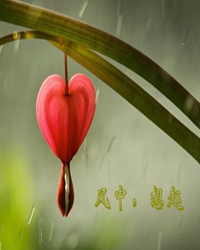 風(fēng)中，想起